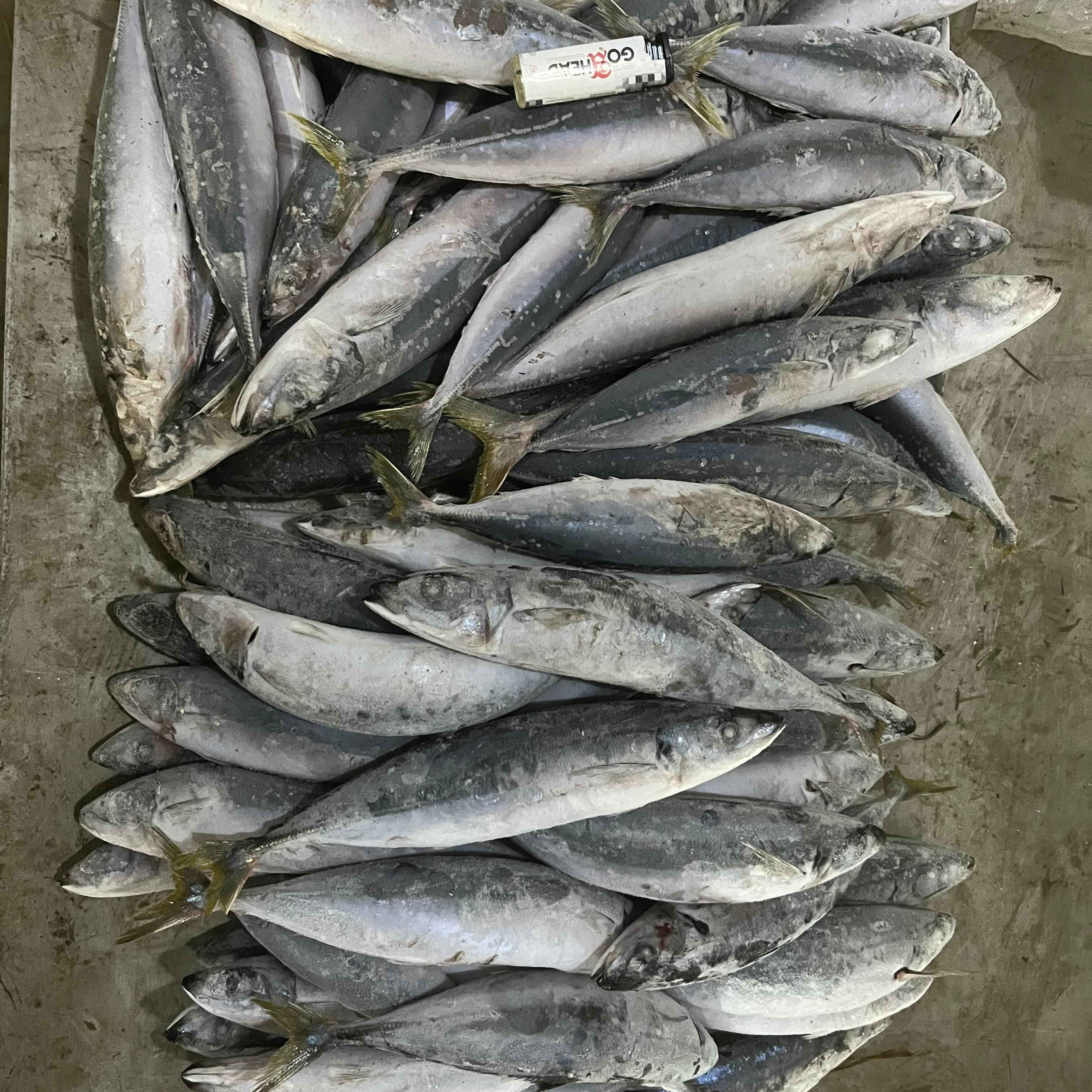 layang